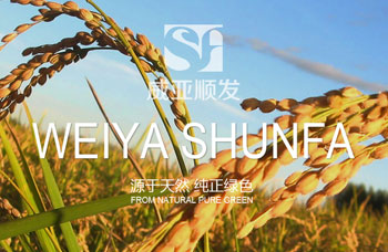 熱烈祝賀江蘇順發(fā)米業(yè)有限公司網(wǎng)站全新上線?。。? /></A>    
     <div   id=